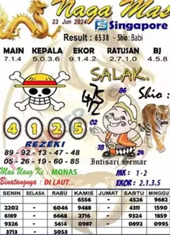 SYAIR SGP VIP